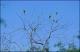 Filmstrip Thumbnail