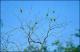 Filmstrip Thumbnail