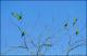 Filmstrip Thumbnail
