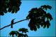 Filmstrip Thumbnail