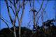 Filmstrip Thumbnail
