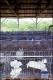 Filmstrip Thumbnail