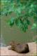 Filmstrip Thumbnail