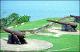 Filmstrip Thumbnail