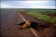 Filmstrip Thumbnail