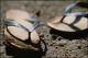 Filmstrip Thumbnail