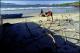 Filmstrip Thumbnail