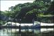 Filmstrip Thumbnail