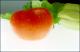 Filmstrip Thumbnail