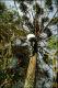 Filmstrip Thumbnail