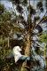 Filmstrip Thumbnail