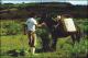 Filmstrip Thumbnail