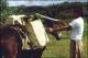 Filmstrip Thumbnail
