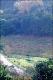 Filmstrip Thumbnail