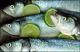 Filmstrip Thumbnail