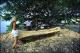 Filmstrip Thumbnail