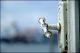 Filmstrip Thumbnail