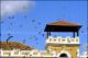 Filmstrip Thumbnail