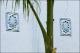 Filmstrip Thumbnail
