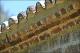 Filmstrip Thumbnail