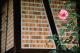 Filmstrip Thumbnail