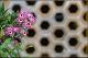 Filmstrip Thumbnail