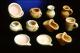 Filmstrip Thumbnail