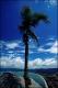 Filmstrip Thumbnail