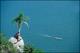 Filmstrip Thumbnail