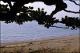 Filmstrip Thumbnail