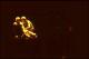 Filmstrip Thumbnail