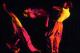 Filmstrip Thumbnail