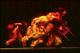 Filmstrip Thumbnail