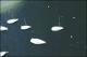 Filmstrip Thumbnail