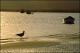 Filmstrip Thumbnail