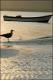 Filmstrip Thumbnail