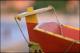 Filmstrip Thumbnail