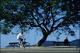 Filmstrip Thumbnail