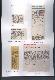 Filmstrip Thumbnail