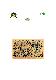 Filmstrip Thumbnail