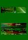 Filmstrip Thumbnail