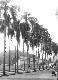Filmstrip Thumbnail
