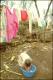 Filmstrip Thumbnail