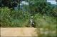 Filmstrip Thumbnail