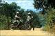 Filmstrip Thumbnail