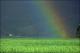Filmstrip Thumbnail