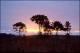 Filmstrip Thumbnail