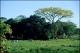 Filmstrip Thumbnail