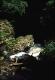 Filmstrip Thumbnail