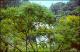 Filmstrip Thumbnail
